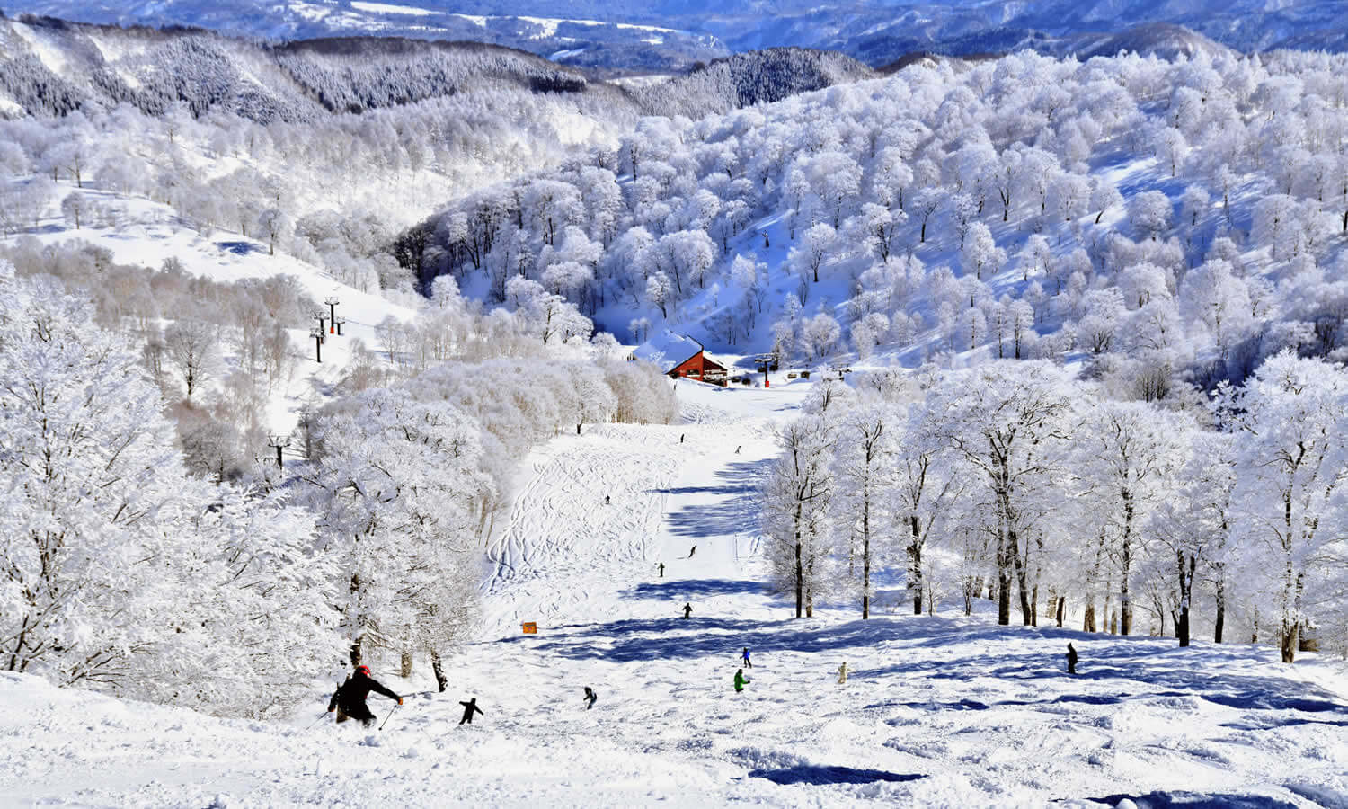 ski